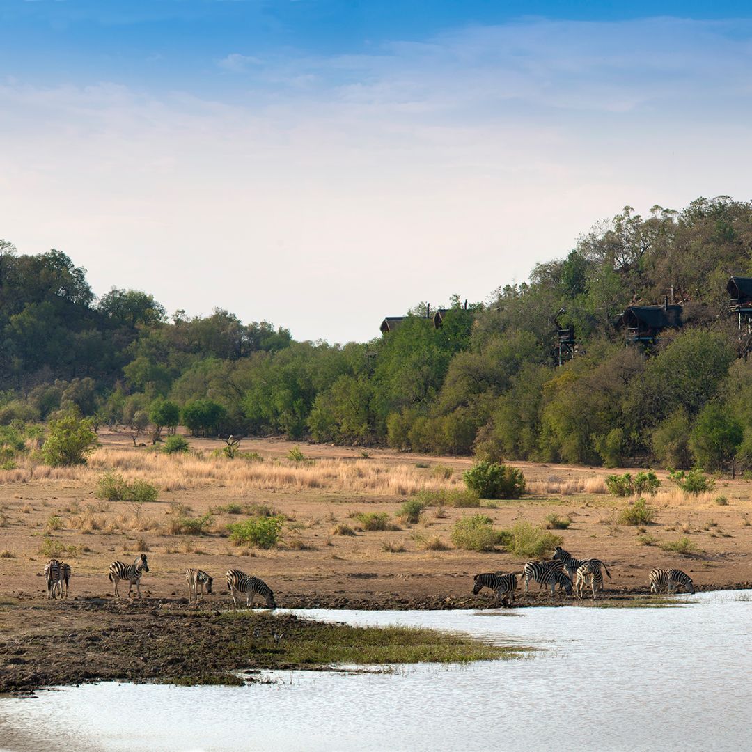 Tshukudu Wildlife Tshukudu Wildlife